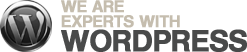 Wordpress Experts