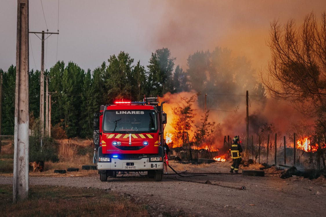 Post-Auto Fire: Essential Business Resources